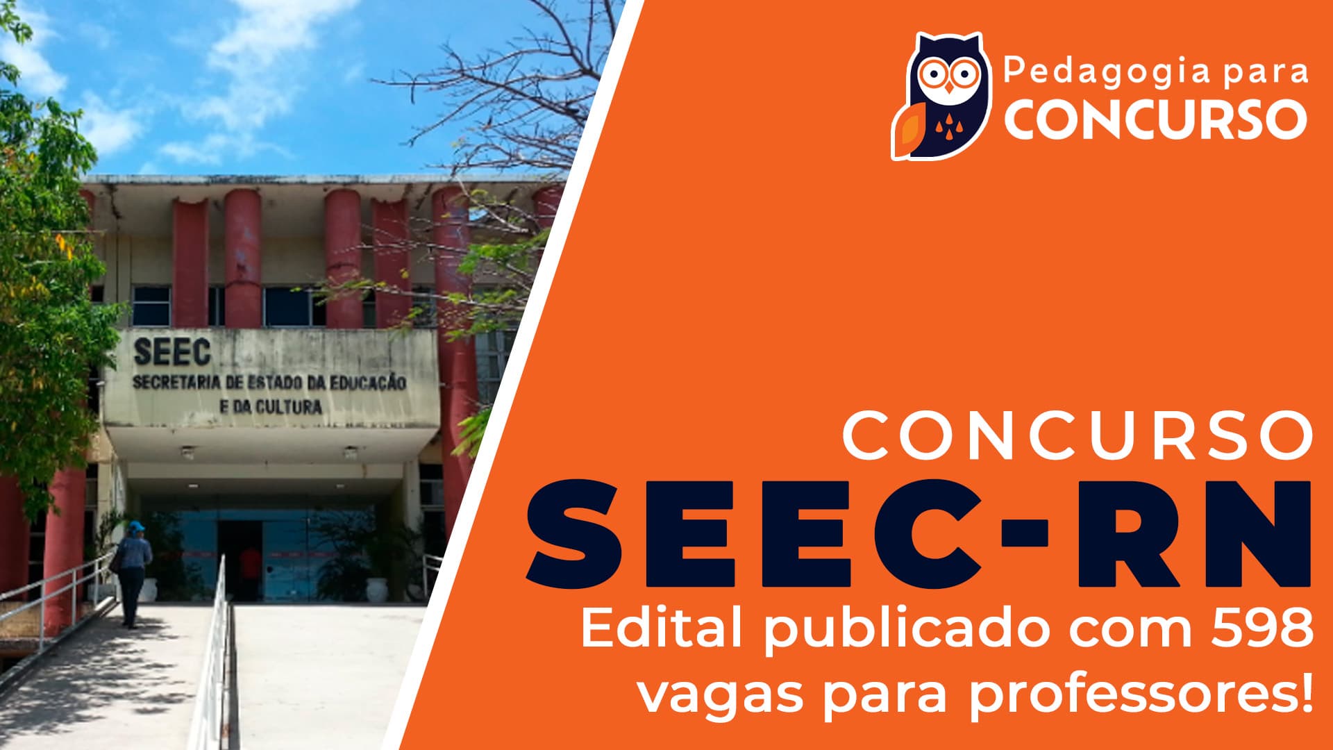 concurso seec rn