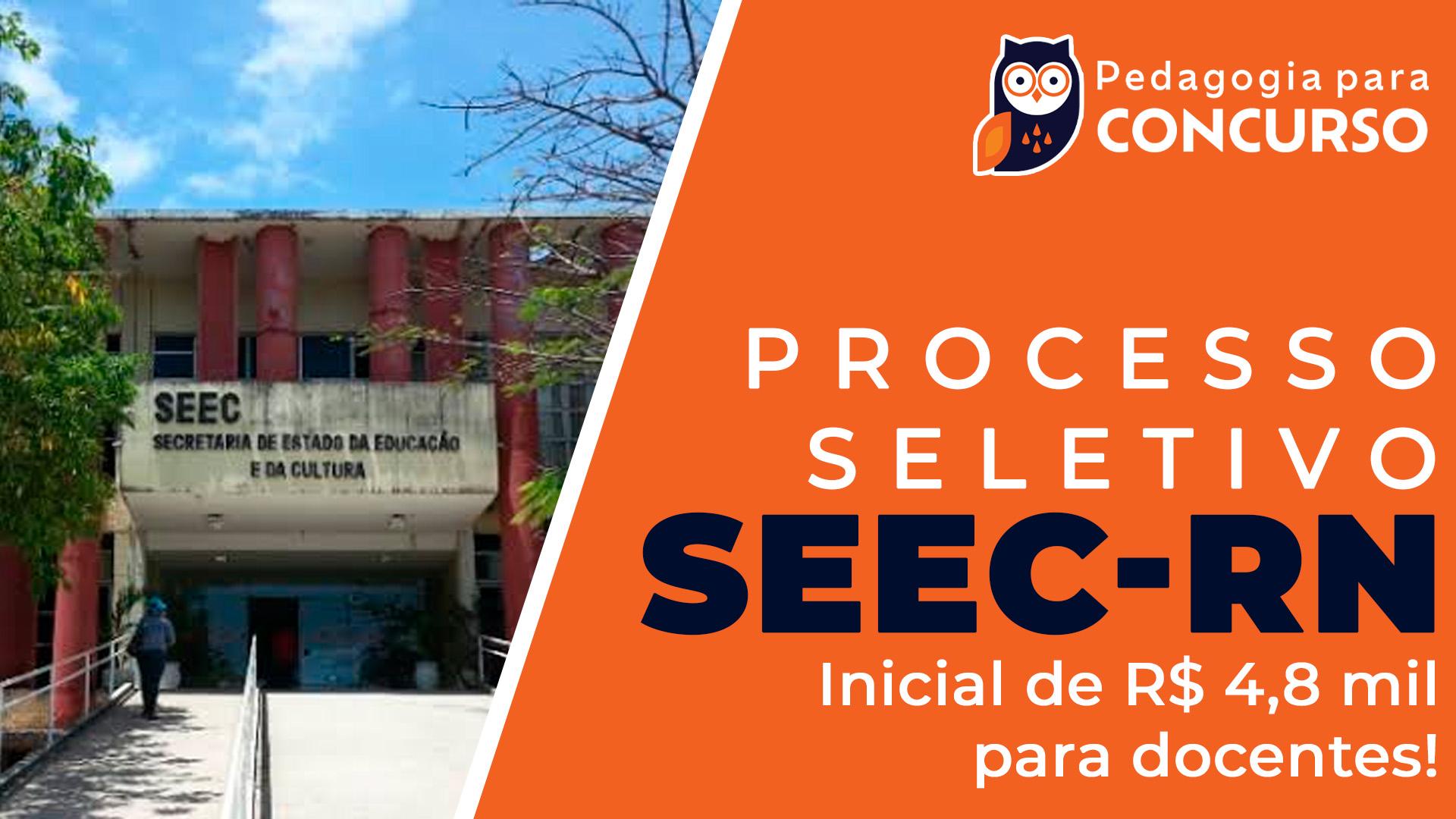 processo seletivo seec rn